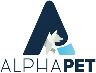 Key Search experts in C-level executive hiring