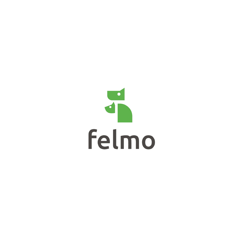 logo_felmo
