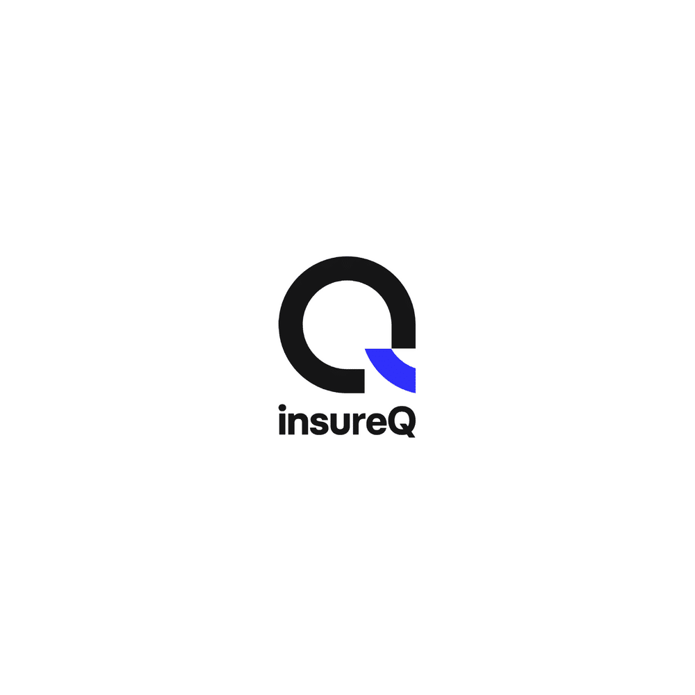logo_insure_q